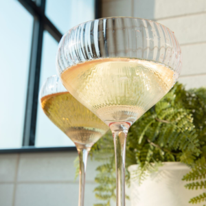 Pink Coupe Glasses - The Bella Collection