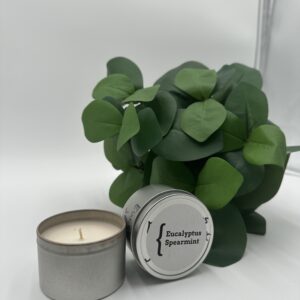 Scents By DMW - Eucalyptus Spearmint Scented Tin Candle